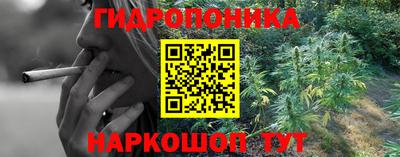 прущие грибы Уссурийск