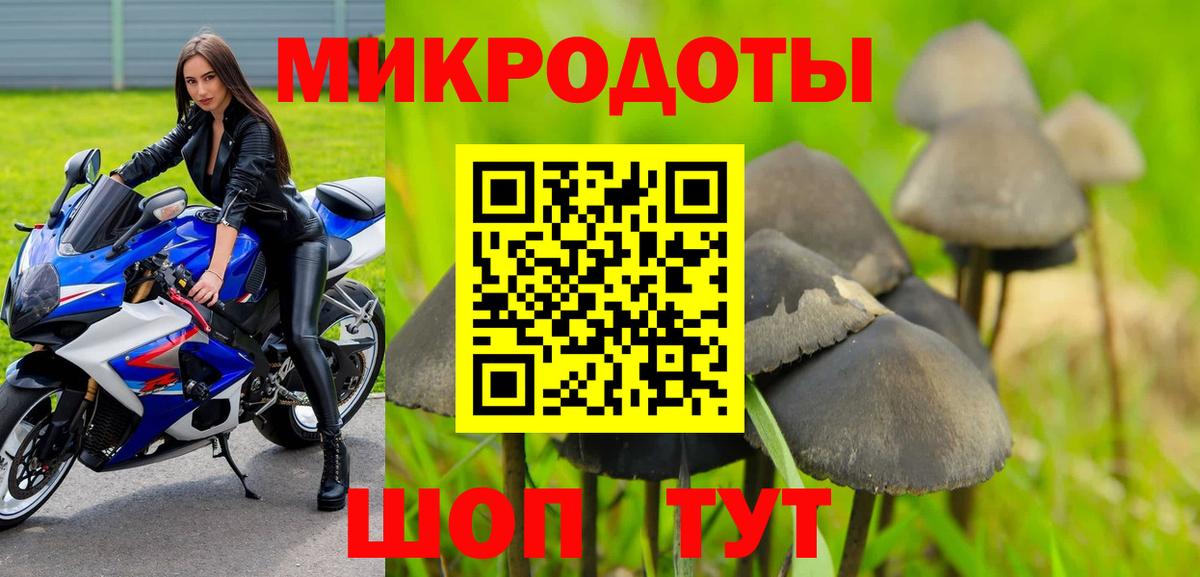 Псилоцибиновые грибы прущие грибы  Вход с VPN  Псилоцибиновые грибы Psilocybe  Магнитогорск 