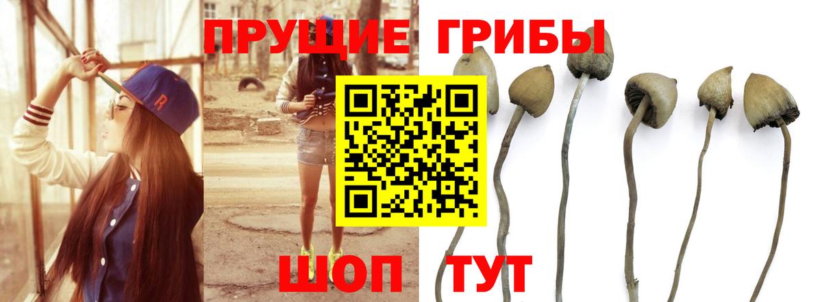 Галлюциногенные грибы мухоморы Магнитогорск